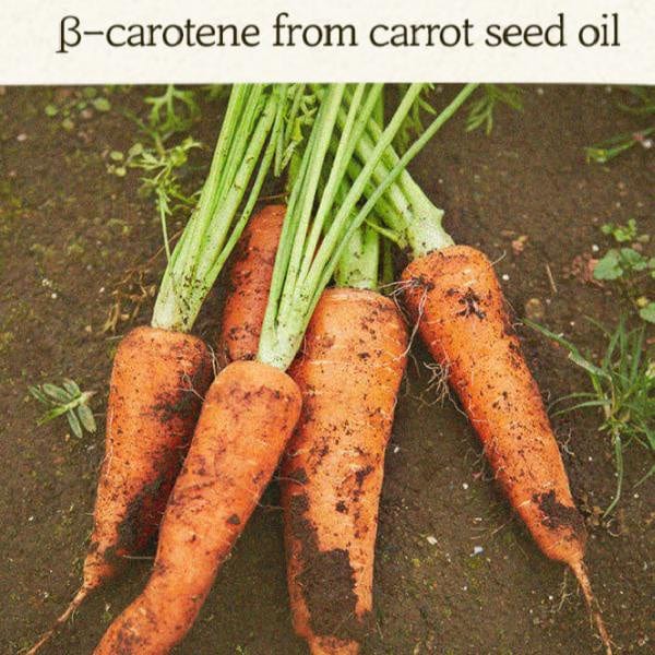 [SKINFOOD] Carrot Carotene Moist Effector - 52ml